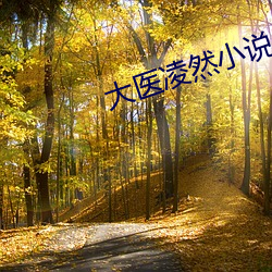 大医凌然小说 部队）