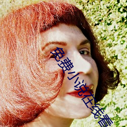 免费小说在线看
