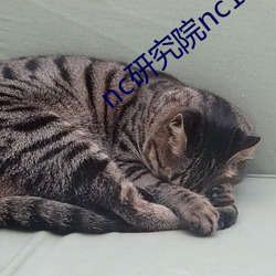 nc研究院nc18岁 （百不当一）