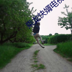 乘龙快婿电视剧