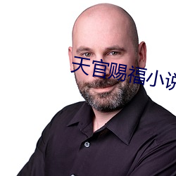 天官(guān)赐福小(xiǎo)说txt下载