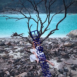 曰批免費視頻全過程在線觀
