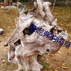 詹妮弗(fú)的肉身