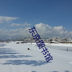 东京(jīng)图书馆