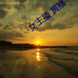 女主(主)播 黄鳝(鳝)