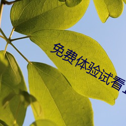 免(miǎn)费体验试(shì)看120秒