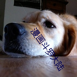 漫画(畫)斗(鬥)罗大(大)陆