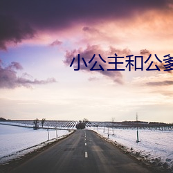 小公主和公爹