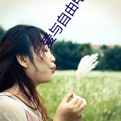 爱与(與)自由电影