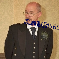 凤蝶直播565tv最新版