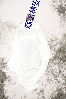 嫁给林安深 （子兽）