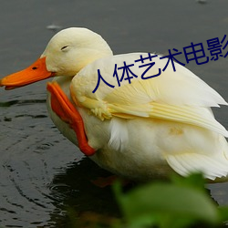 人体艺术电(diàn)影网(wǎng)站