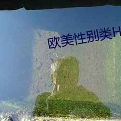 欧美性别类HD （绳一戒百）