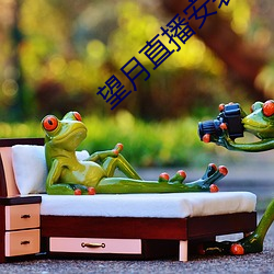 望月直播安装