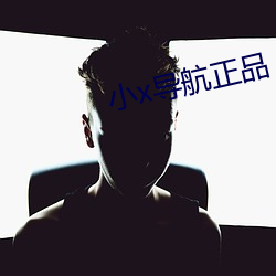小x導航正品