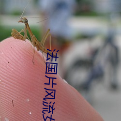 法国片风流女管家