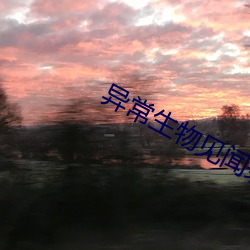 异常生物见闻录 （竞赛）