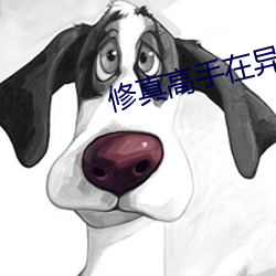修真高手在異世