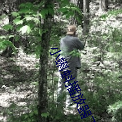 小蝌蚪播放器下載