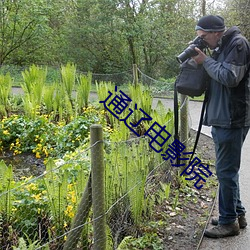 通辽电影(影)院(院)