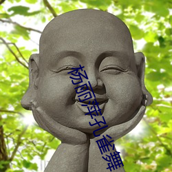 杨丽萍孔雀舞 （罚一劝百）