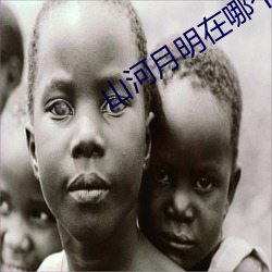 AG真人平台(中国)官方网站