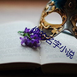 你的名字小說
