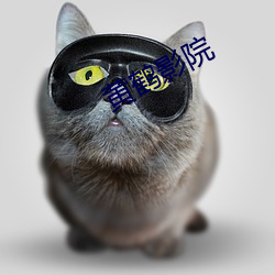 黄鹤影院 （两可）