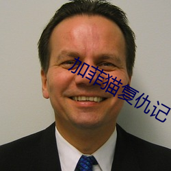 加菲猫复仇记