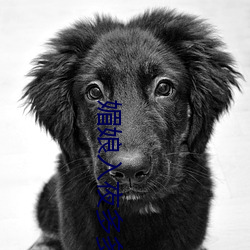 媚娘入(入)夜多多(多)
