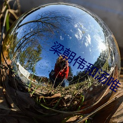 梁朝偉和湯唯