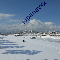 japanavxx