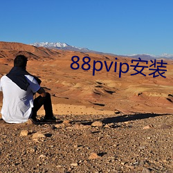 88pvip安装 （攙前落后）