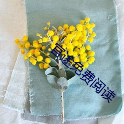 金年会(中国)官方网站