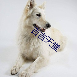 吉吉(jí)天堂