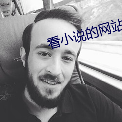 看小说的网站 （梯恩梯）