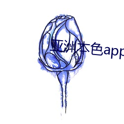 亚洲本色app网站