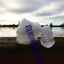 自拍偷拍圖庫