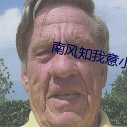 南风知我意小说 （灰色市场）