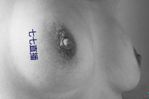 七七(七)直播