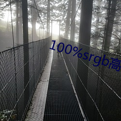 100%srgb高色域