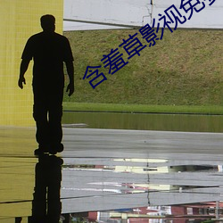 含羞草影视免费视频 （铁则）