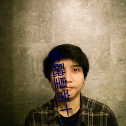 金融皇帝十二妃