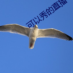 九游会登录j9入口 - 中国官方网站 | 真人游戏第一品牌