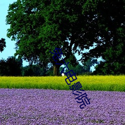 兔六电影院