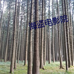 海盗电影院 （赛季）