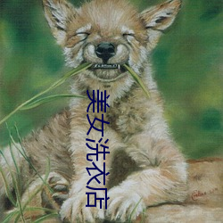 美女(nǚ)洗衣店