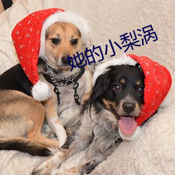 她的小梨涡