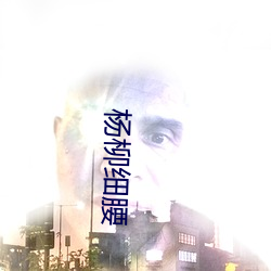 杨柳细腰 （手足之情）