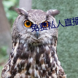 免费私人直播间哔哩哔哩 暴内陵外）